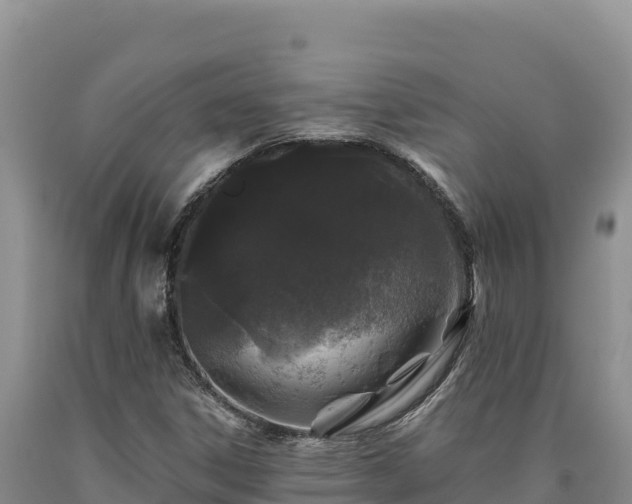 X0000090721306200707271144
