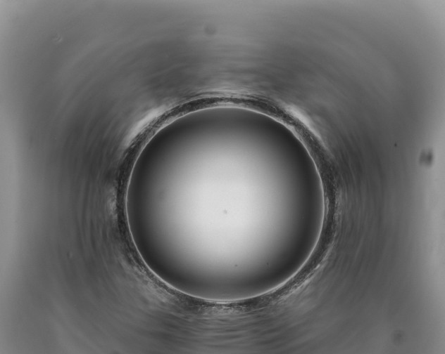 X0000090721307200707271144