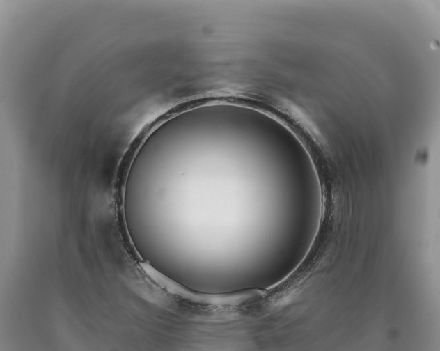 X0000090721308200707271144