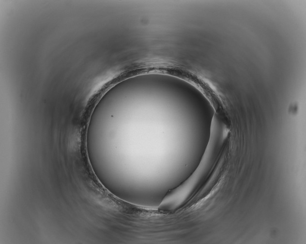 X0000090721309200707271144