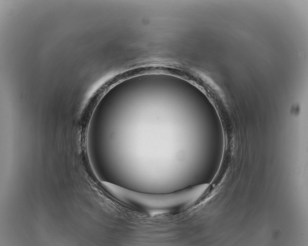 X0000090721310200707271144