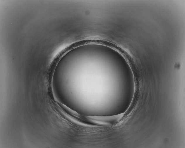 X0000090721311200707271144