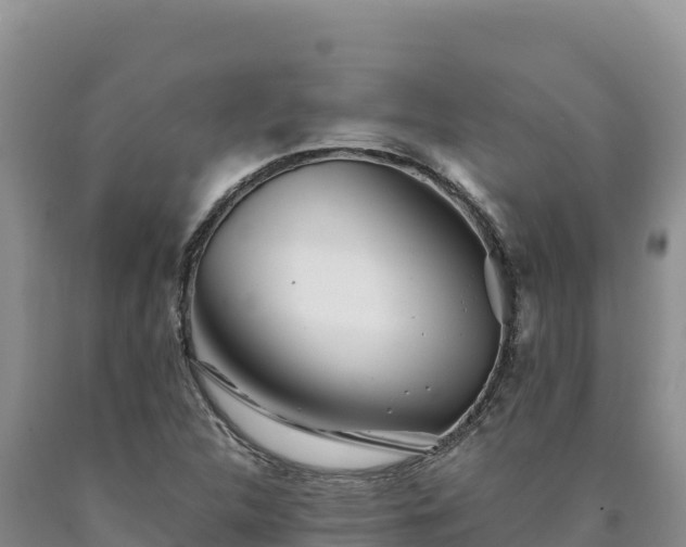 X0000090721312200707271144