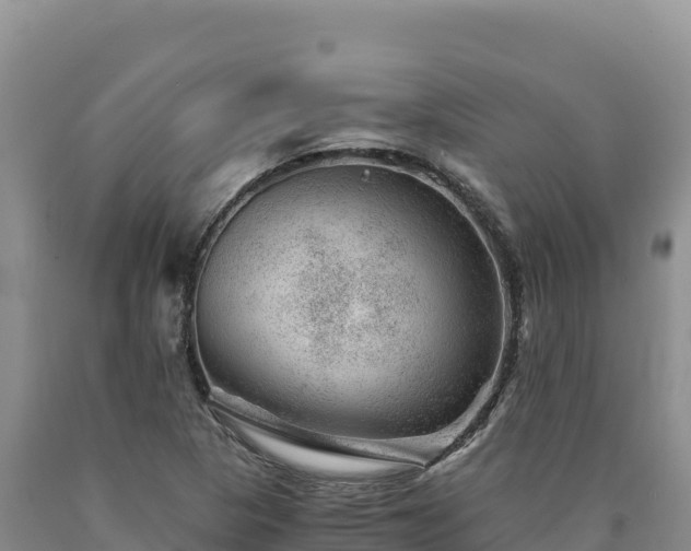 X0000090721313200707271144