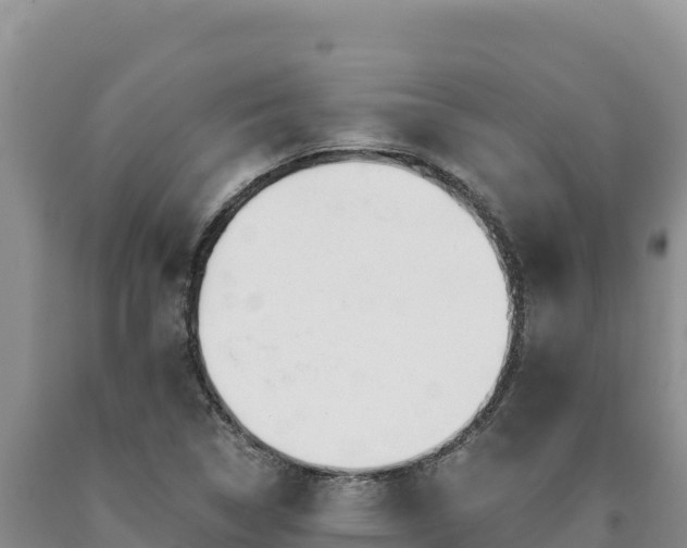 X0000090721314200707271144