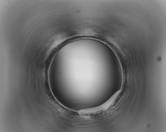 X0000090721315200707271144