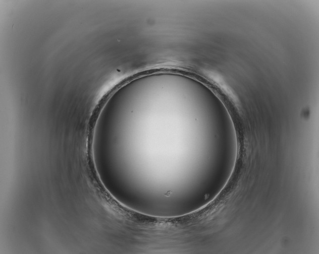 X0000090721316200707271144