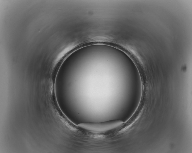X0000090721317200707271144
