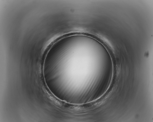 X0000090721318200707271144