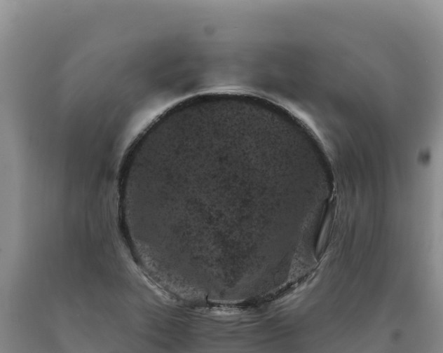 X0000090721319200707271144