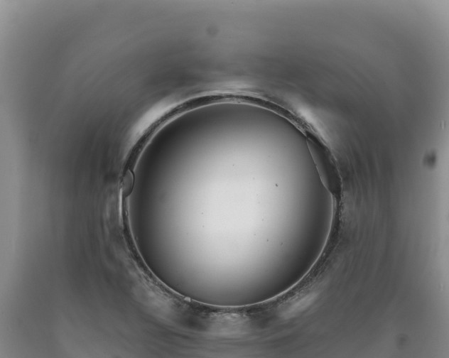 X0000090721320200707271144
