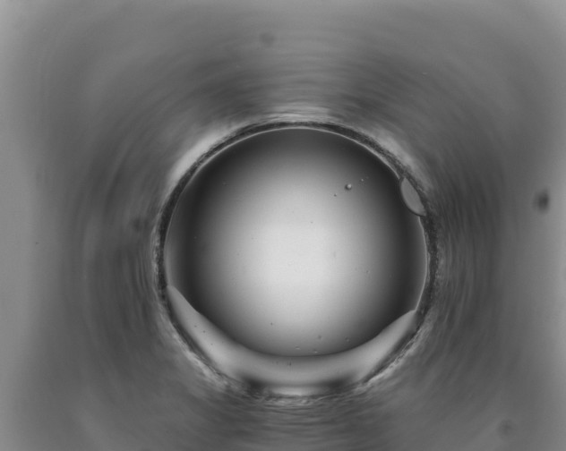 X0000090721325200707271144