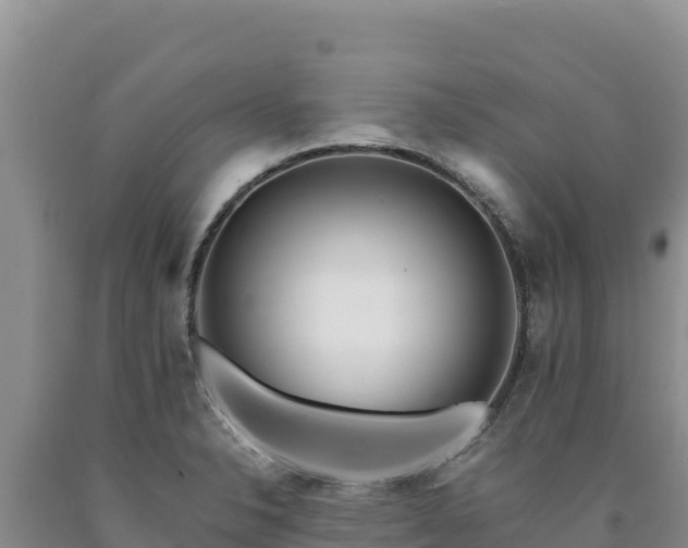 X0000090721326200707271144