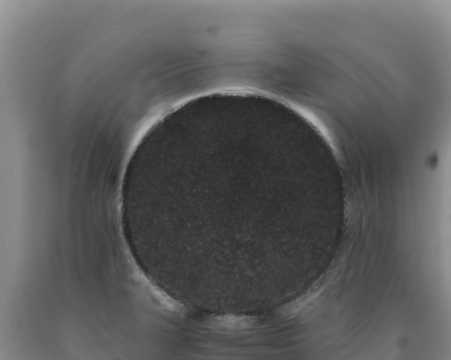 X0000090721327200707271144