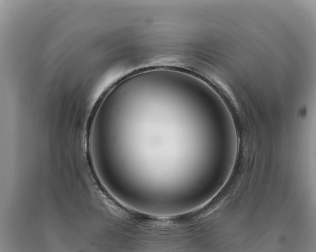 X0000090721328200707271144
