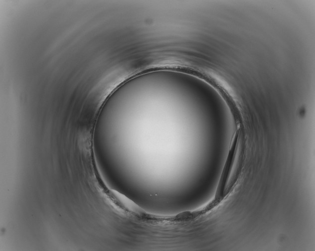 X0000090721329200707271144