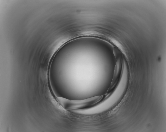 X0000090721330200707271144