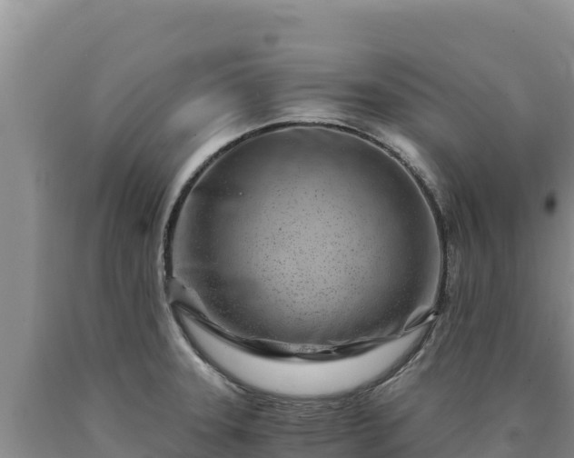 X0000090721331200707271144