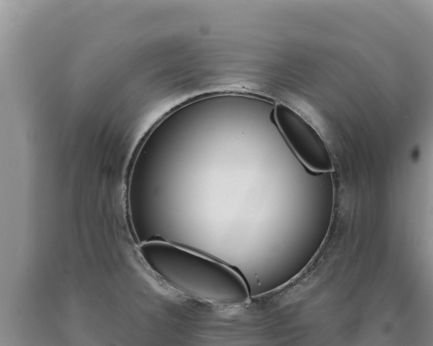 X0000090721332200707271144