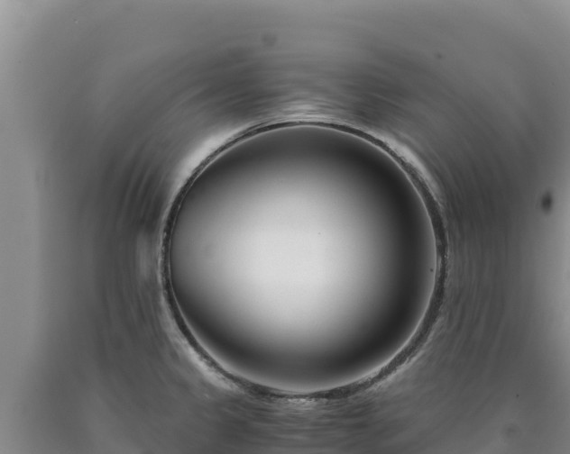 X0000090721333200707271144