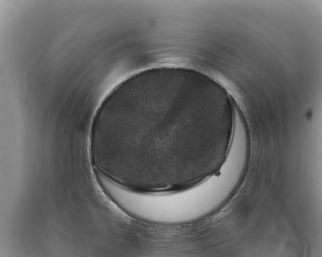 X0000090721334200707271144