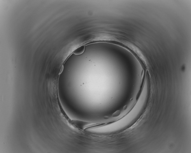 X0000090721337200707271144