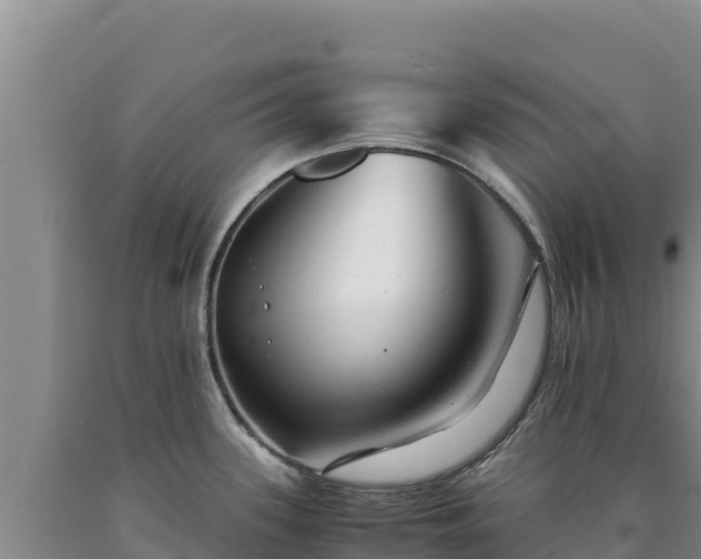 X0000090721339200707271144