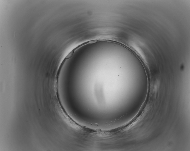 X0000090721340200707271144