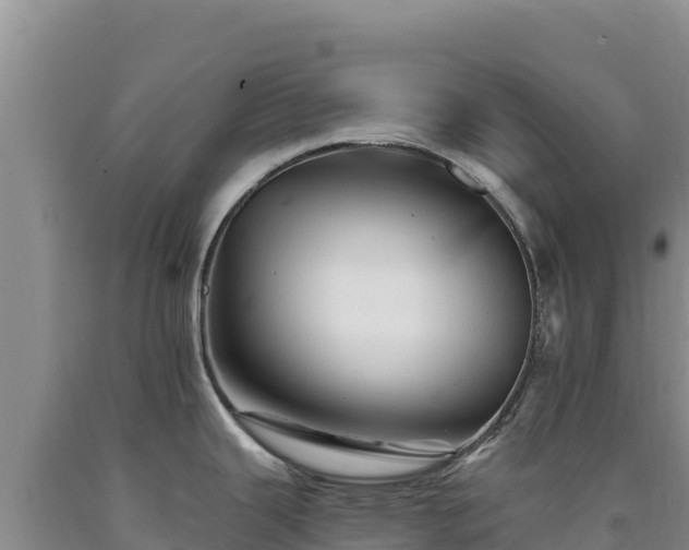 X0000090721343200707271144