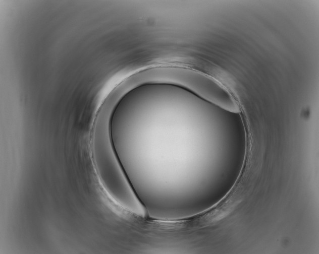 X0000090721344200707271145