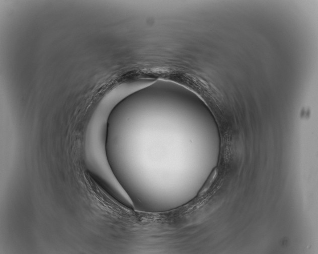 X0000090721345200707271144