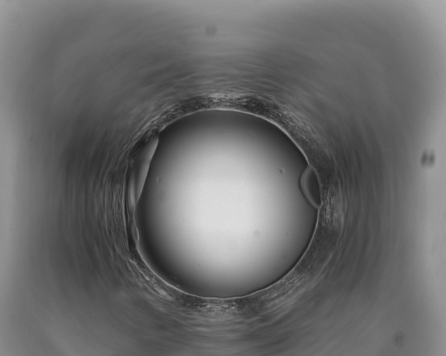 X0000090721346200707271144