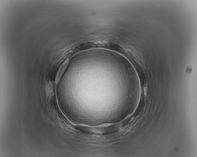 X0000090721347200707271144