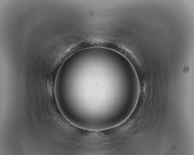X0000090721348200707271144