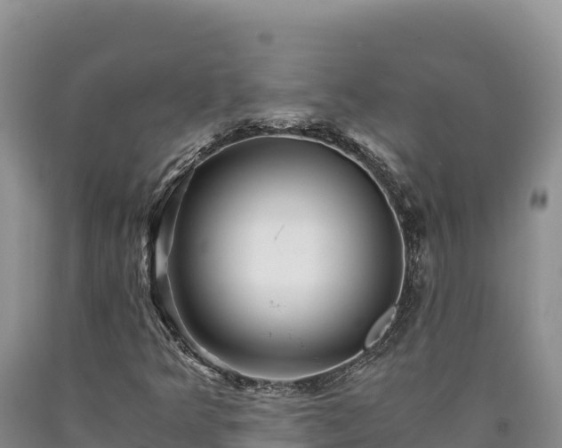 X0000090721349200707271144
