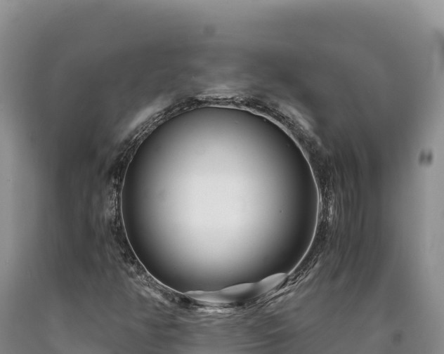 X0000090721350200707271144