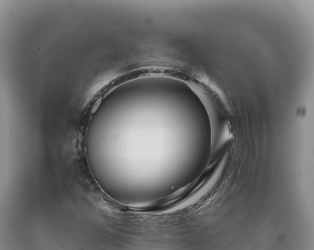 X0000090721352200707271144