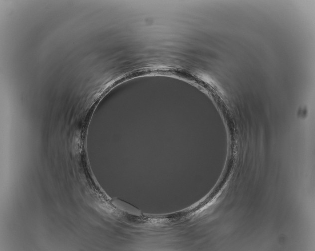 X0000090721353200707271144
