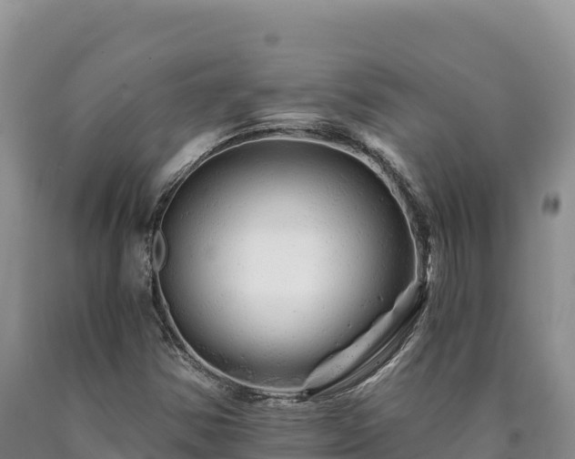 X0000090721354200707271144