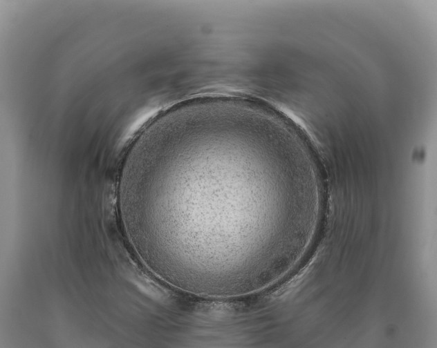 X0000090721355200707271144