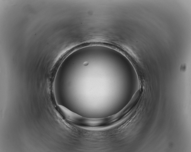 X0000090721356200707271144