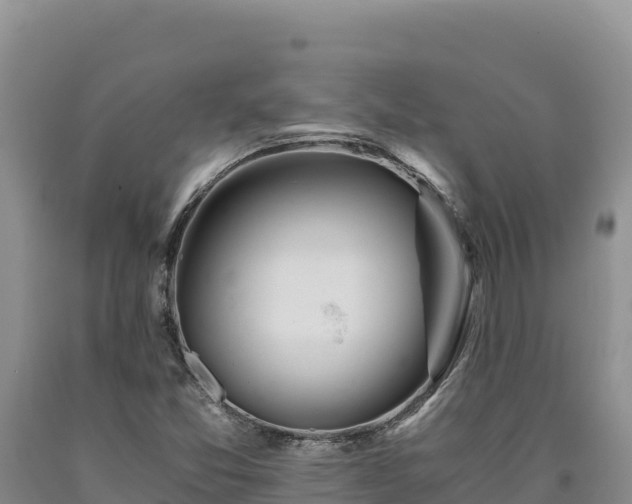 X0000090721357200707271144