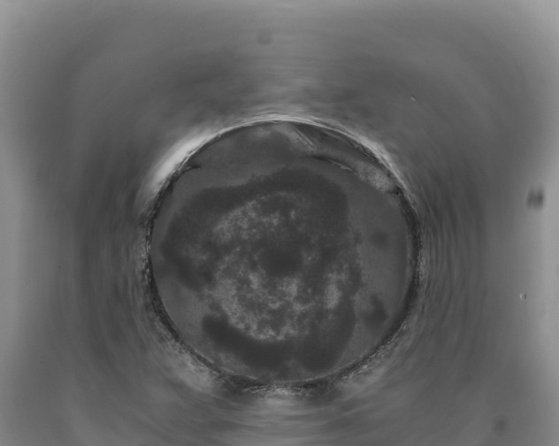 X0000090721359200707271143