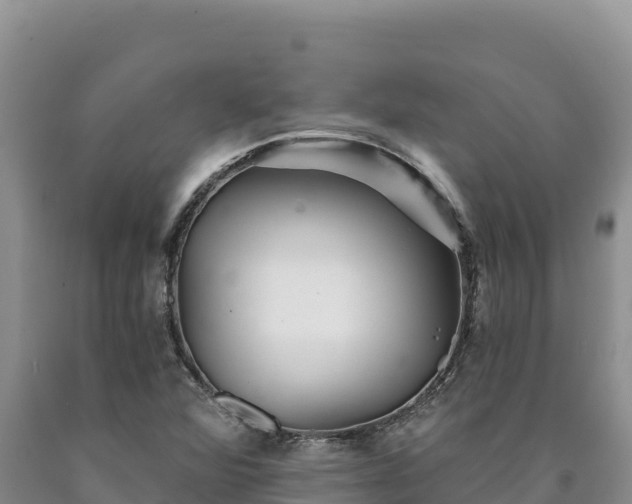 X0000090721360200707271143