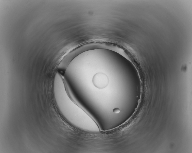 X0000090721361200707271143