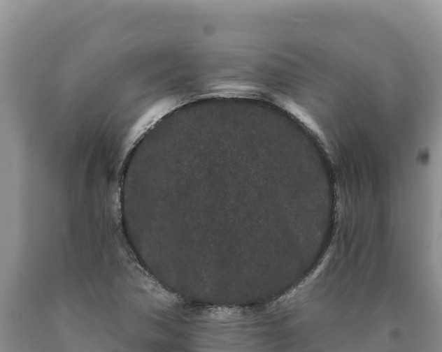X0000090721362200707271143