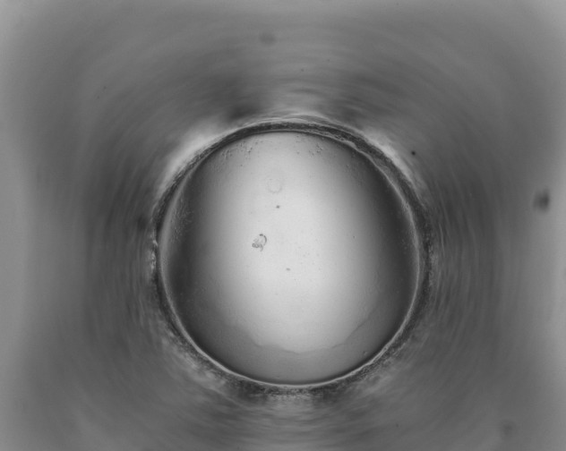 X0000090721363200707271143