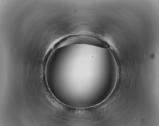 X0000090721364200707271143