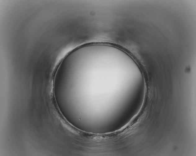 X0000090721366200707271143