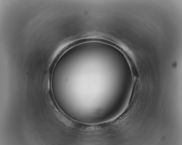X0000090721368200707271143